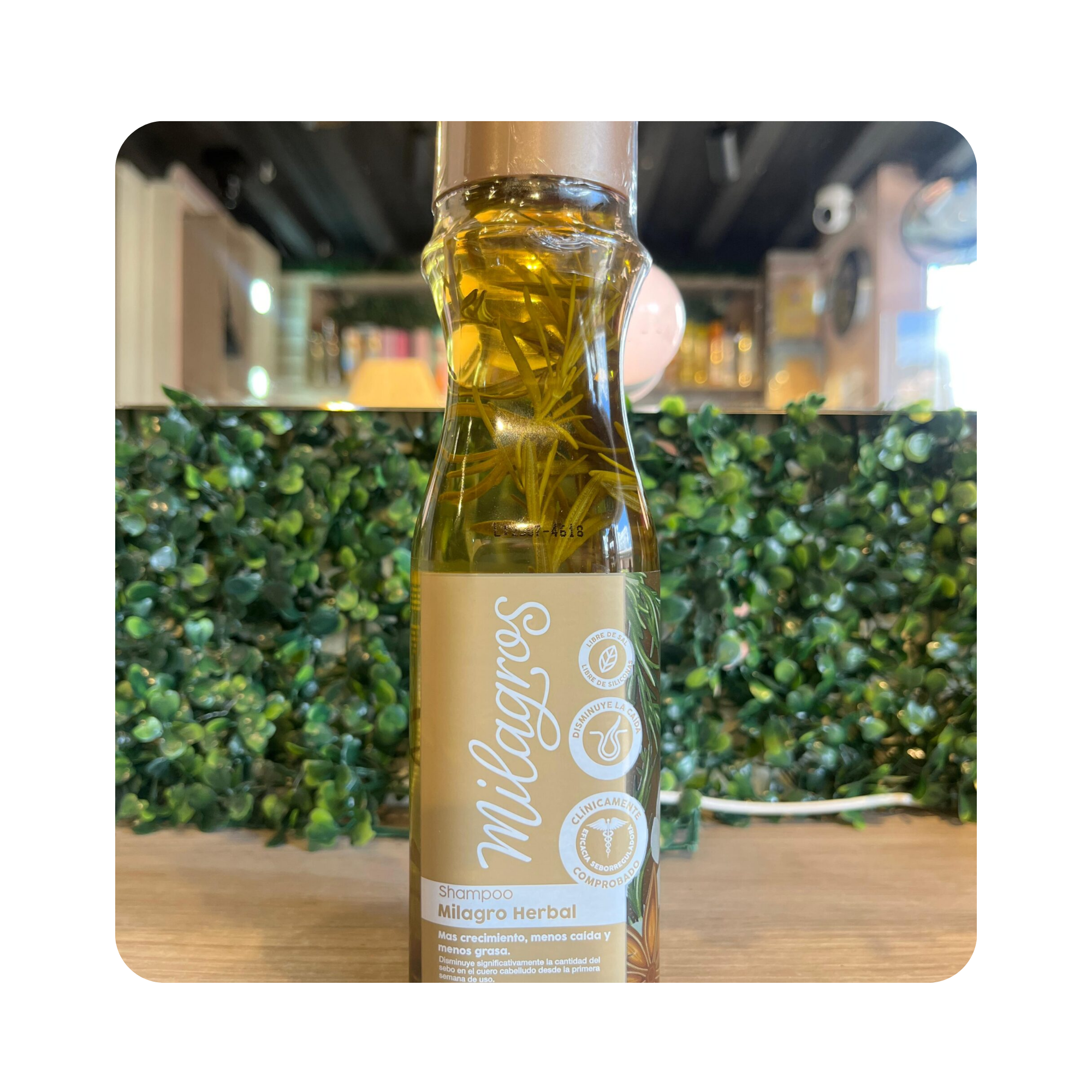 SHAMPOO HERBAL MILAGROS