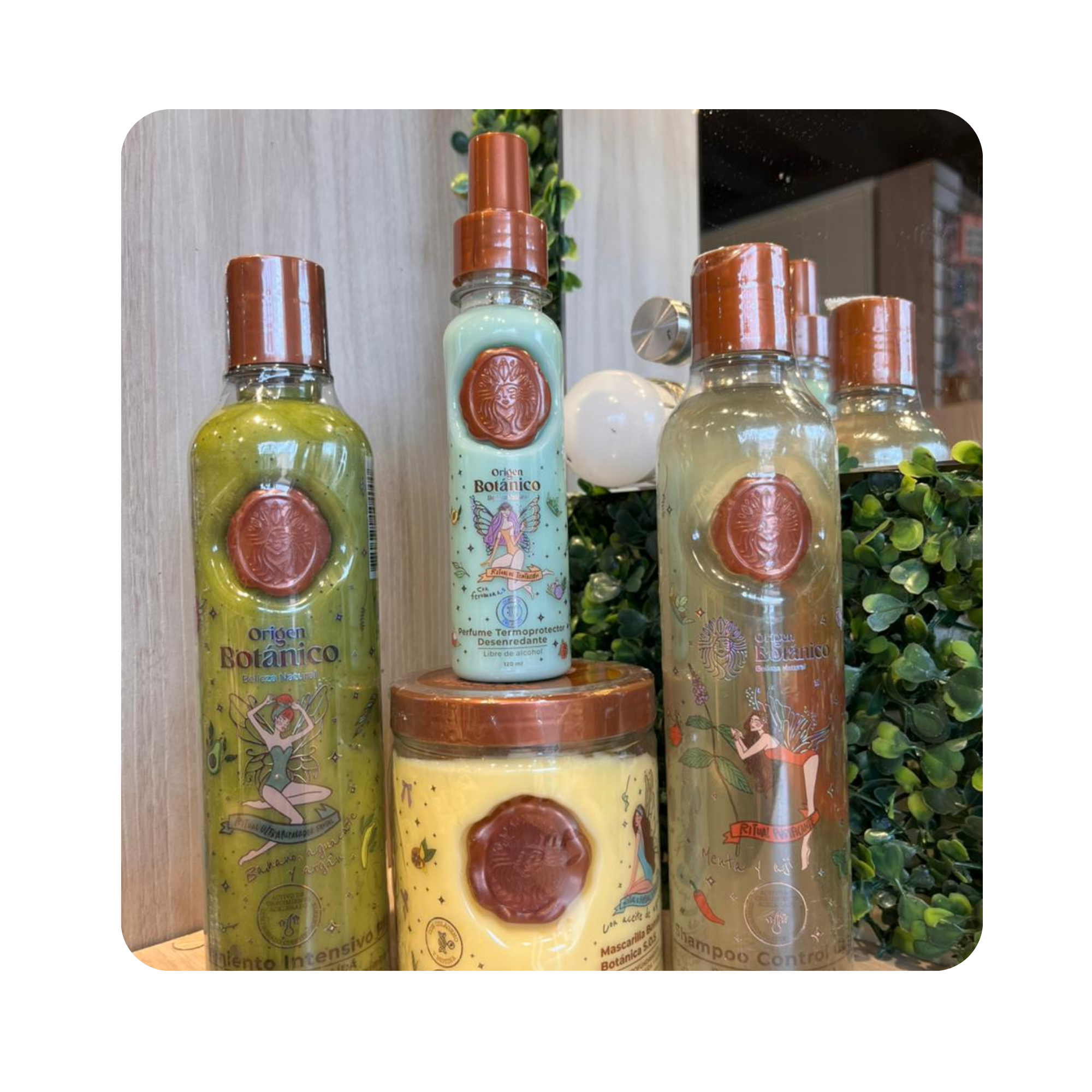 COMBO CAPILAR RITUAL BOTANICO