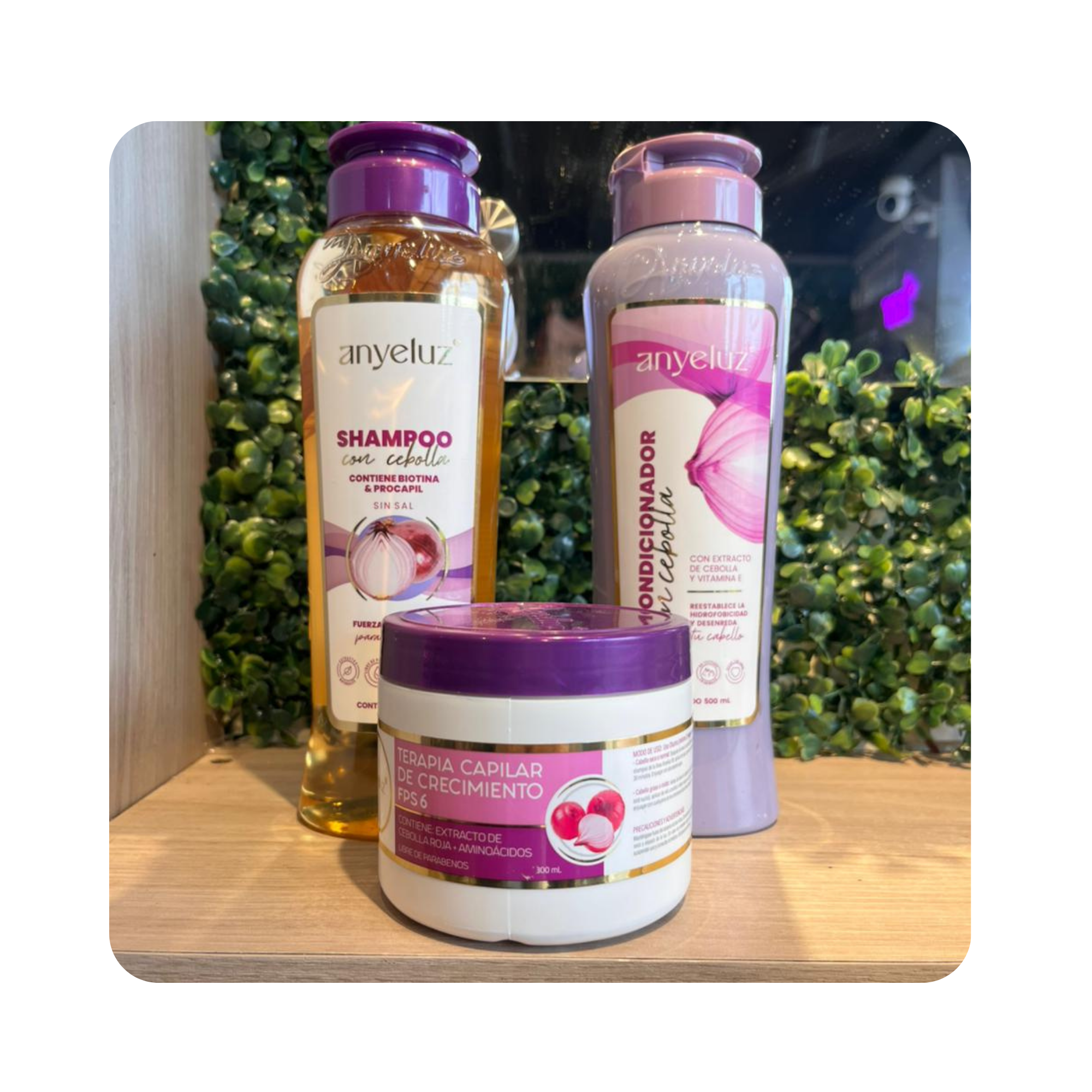 KIT CAPILAR ANYELUZ DE CEBOLLA