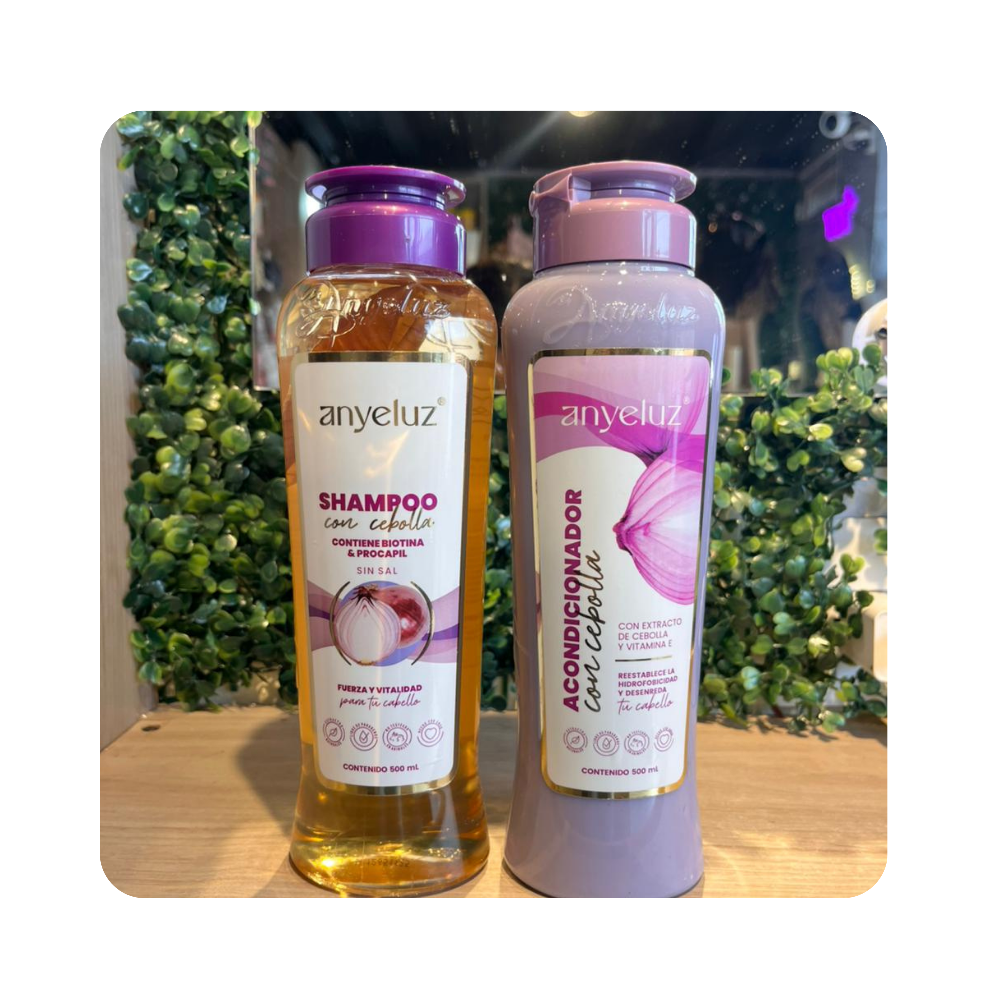KIT CAPILAR CEBOLLA ANYELUZ DUO
