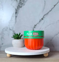 MANTEQUILLA WATERMELON 250 ML PURPURE